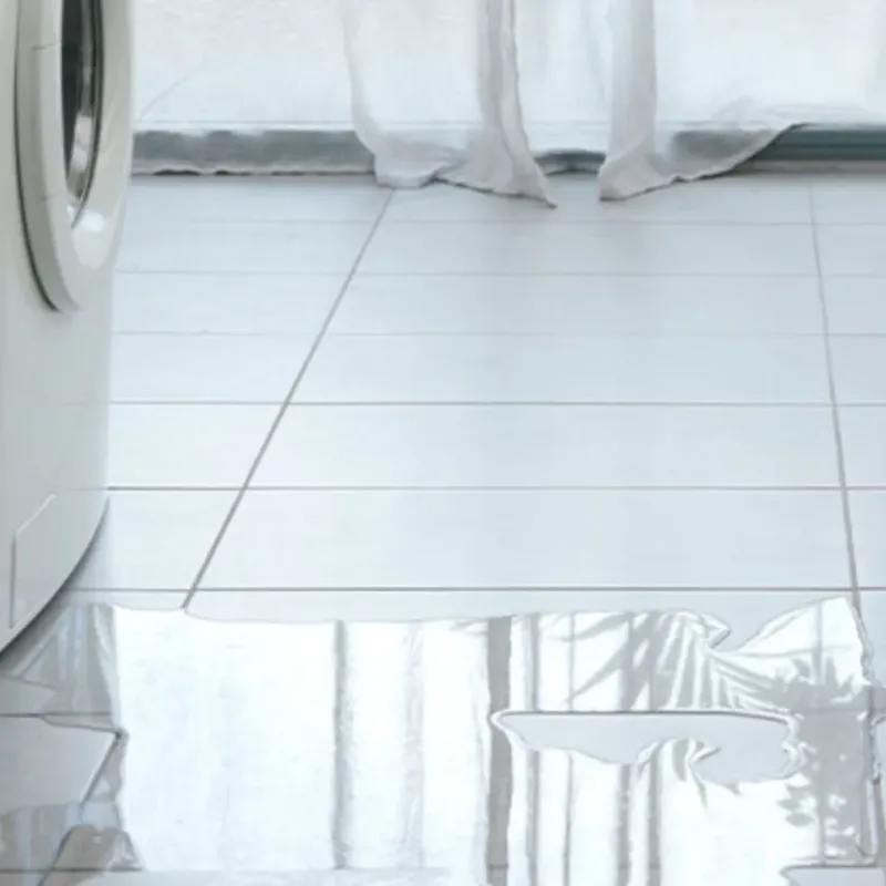 Appliance Leak Cleanup in Sangamon County, IL