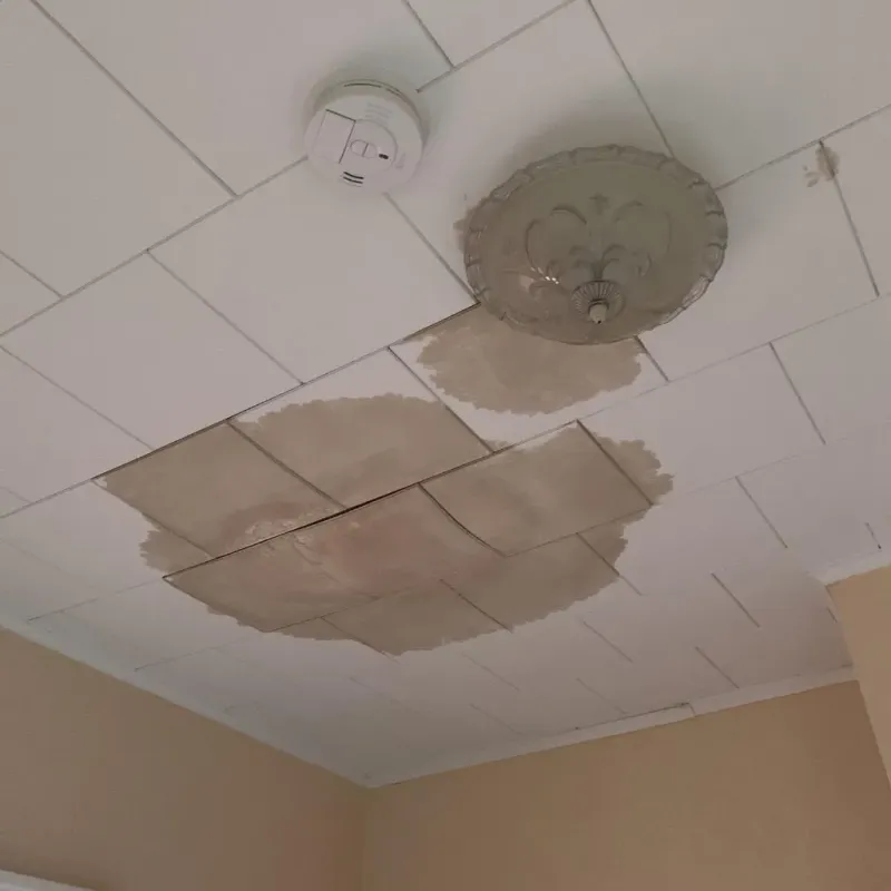 Ceiling Water Damage Repair in Sangamon County, IL
