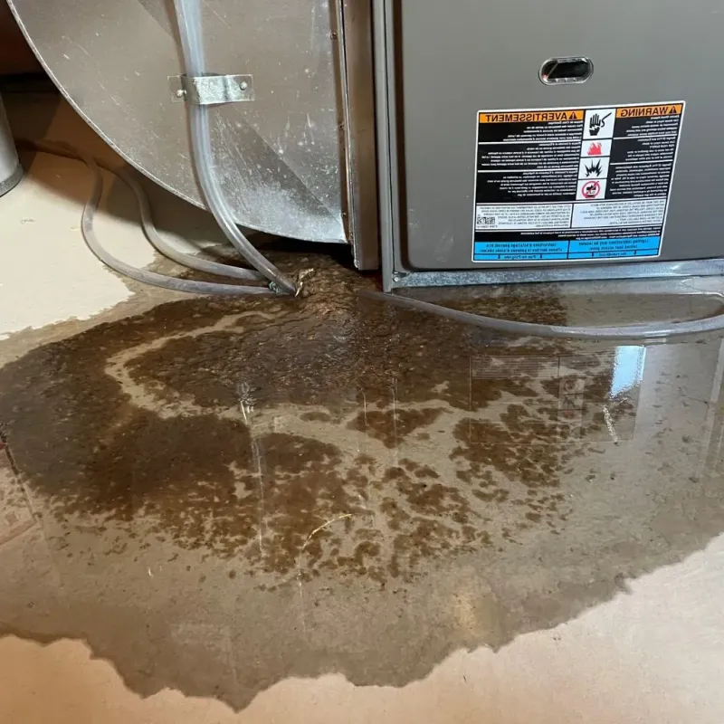 Pipe Burst and Leak Restoration in Sangamon County, IL