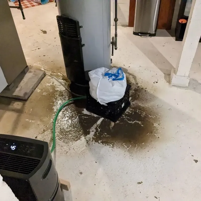 Sewage Backup Cleanup Service in Sangamon County, IL